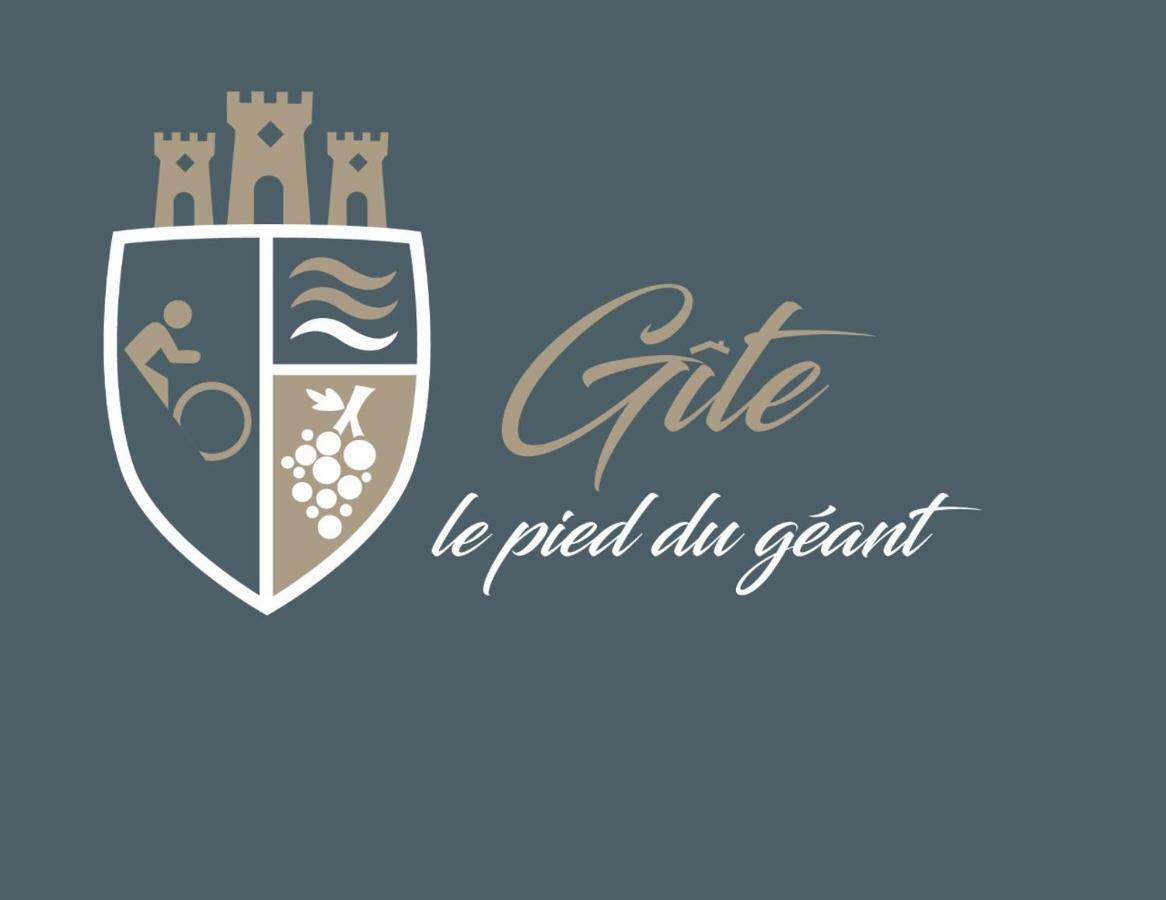 Gite Le Pied Du Geant - Local Securise Pour Les Velos トゥルノン・シュル・ローヌ エクステリア 写真